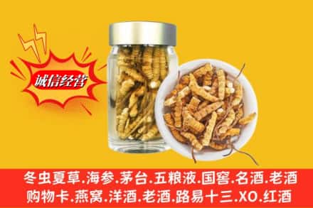 保定市名酒回收散虫草.jpg