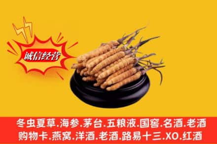 保定市名酒回收冬虫夏草.jpg